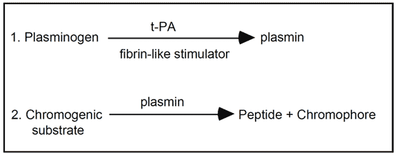 tPA t-PA tissue plasminogen activator assay test kit