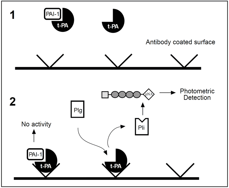 tPA t-PA tissue plasminogen activator assay test kit