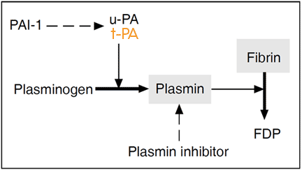 tPA t-PA tissue plasminogen activator assay test kit