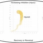 Stasys 2D Data Graph showing increasing inhibition at the top and recovery or reversal with arrows for clot sizes