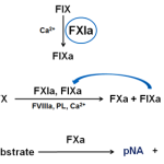 Rossix Rox Factor XIa Measurement equations illustration