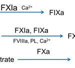 Rossix Rox Factor XIa Measurement equations illustration