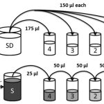 FZMB von Willebrand Factor Propeptide vWF illustration of liquids