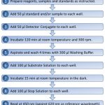 FZMB von Willebrand Factor Propeptide vWF 9 step instructions