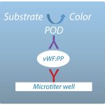 vWF:PP chart with POD at the top and Mircotiter well at the bottom