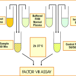 Factor VIII Assay Mixture Illustration on a transparent background