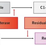 Technochrom C1-INH Test Principle equation illustration