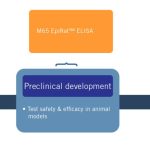 Drug-Development-Graphic showing the process and phases illustration