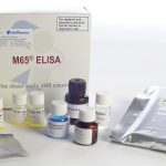 DiaPharma M65 ELISA kit on a white surface