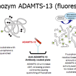 Technozym ADAMTS-13 Fluorescent illustration