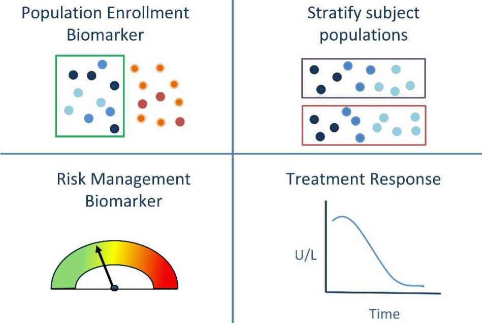 Illustration showing graphs that depict the concepts of population enrollment biomarker, stratify subject populations, risk management biomarker, and treatment response