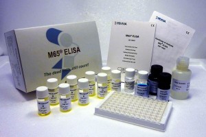 M65 apoptosis necrosis cytokeratin CK18 ELISA assay test kit