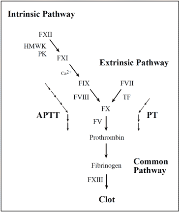 APC activated protein C resistance factor V leiden clotting assay test kit