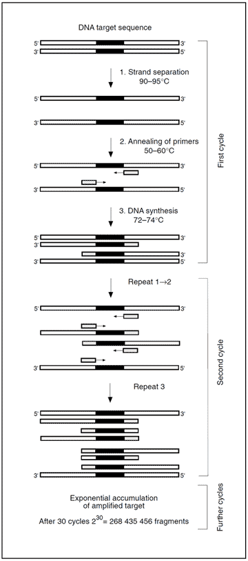 APC activated protein C resistance factor V leiden clotting assay test kit