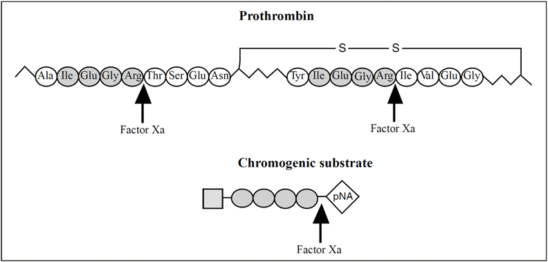 chromogenic antithrombin assay test kit