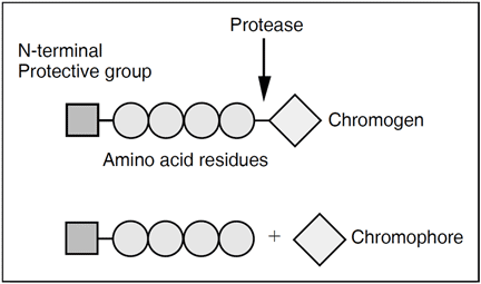 chromogenic antithrombin assay test kit