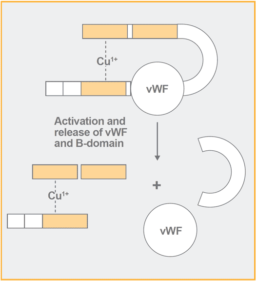 chromogenic factor viii assay test kit