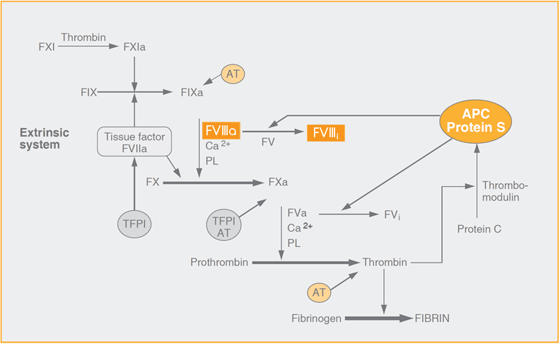 chromogenic factor viii assay test kit