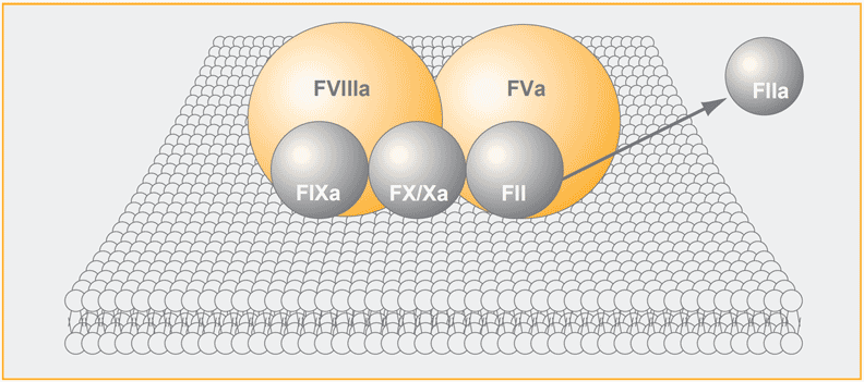 chromogenic factor viii assay test kit