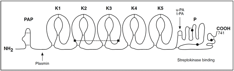 plasminogen assay test kit