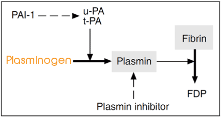 plasminogen assay test kit