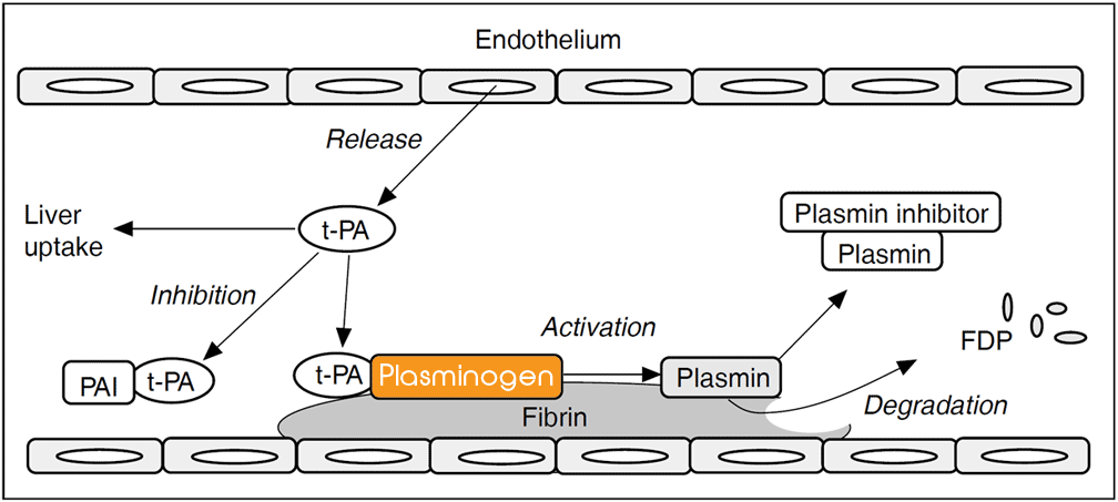 plasminogen assay test kit