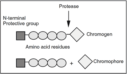 plasminogen assay test kit