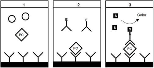 Chromogenic Protein C assay test kit