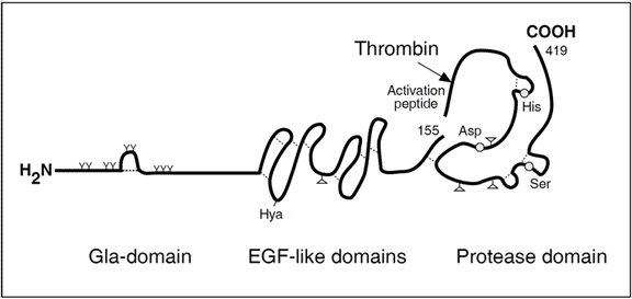 Chromogenic Protein C assay test kit