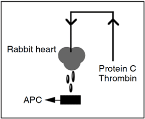 Chromogenic Protein C assay test kit