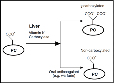 Chromogenic Protein C assay test kit