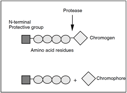 Chromogenic Protein C assay test kit