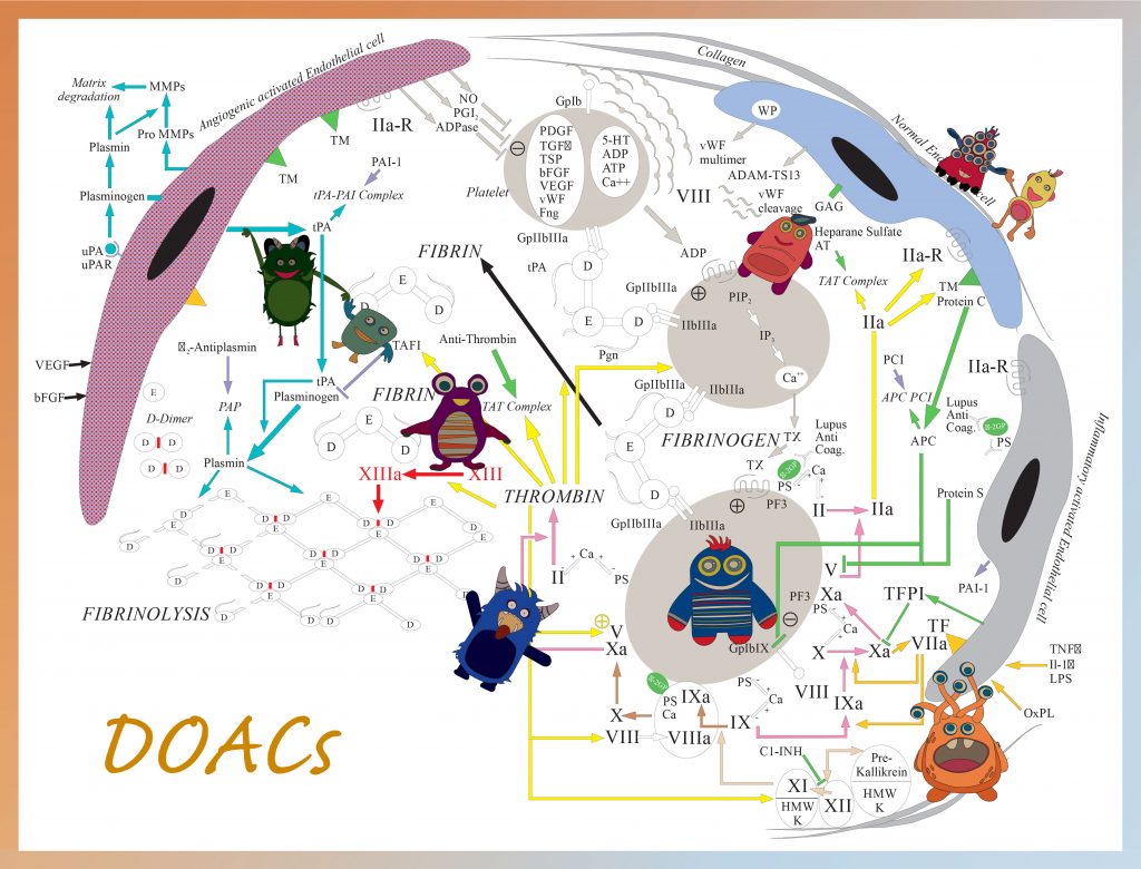 Direct Oral Anticoagulants (DOACs)