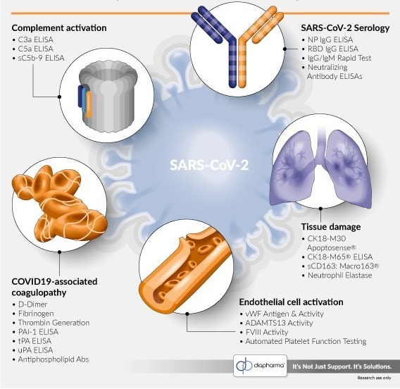 covid-19 biomarker assays