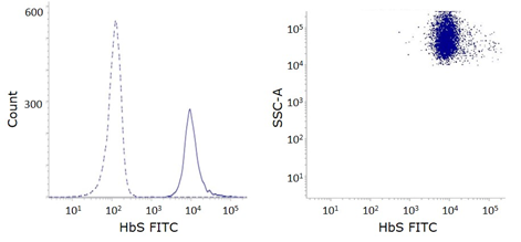 Hbs FITC Anti-Hemoglobin S