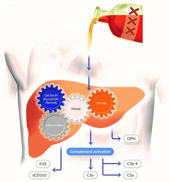 complement biomarker assays