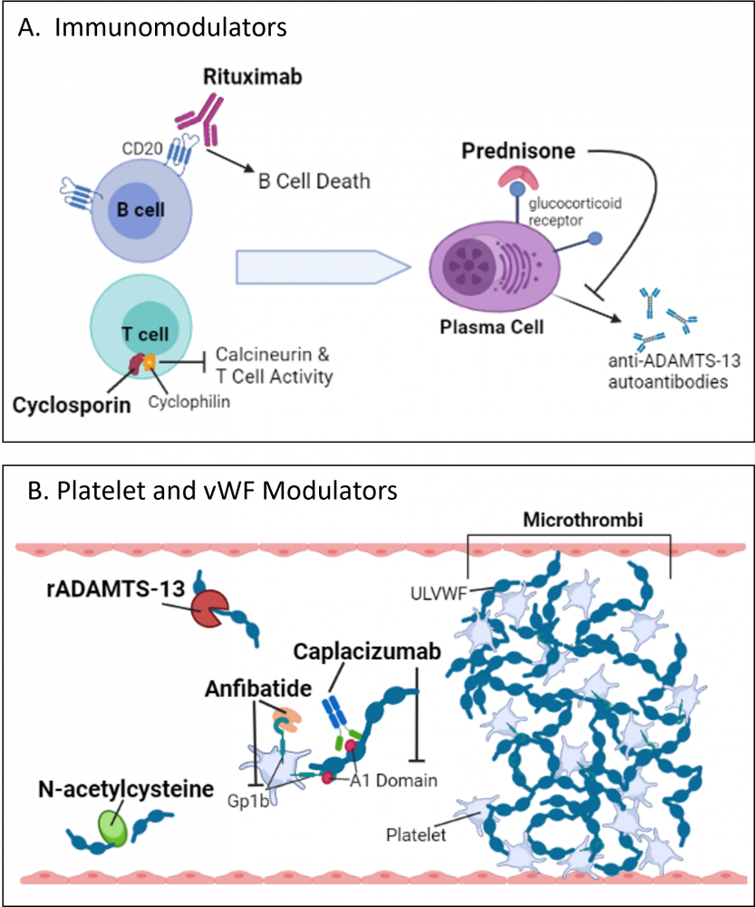 Thrombotic Thrombocytopenic Purpura (TTP) Clinical Trials