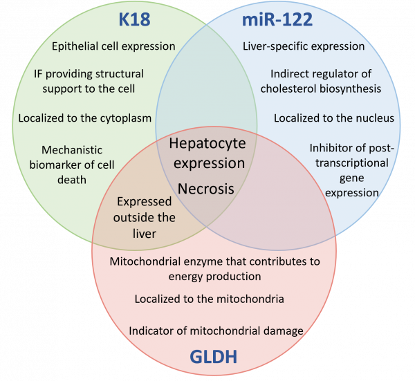 DILI K18, miR-122, GLDH