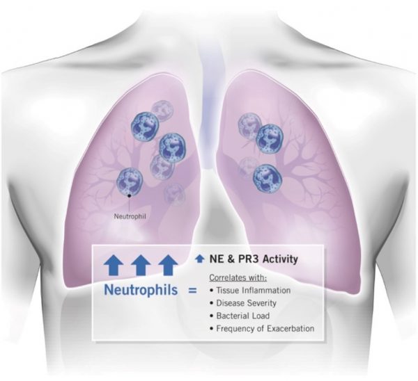 Neutrophil Elastase Activity Immunoassay