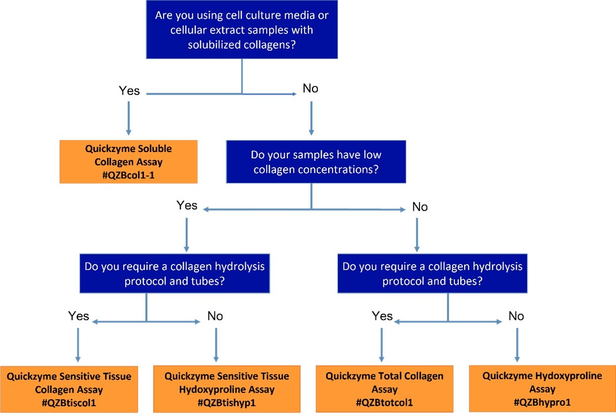 quickzyme soluble collagen assay sensitive tissue total collagen hydroxyproline