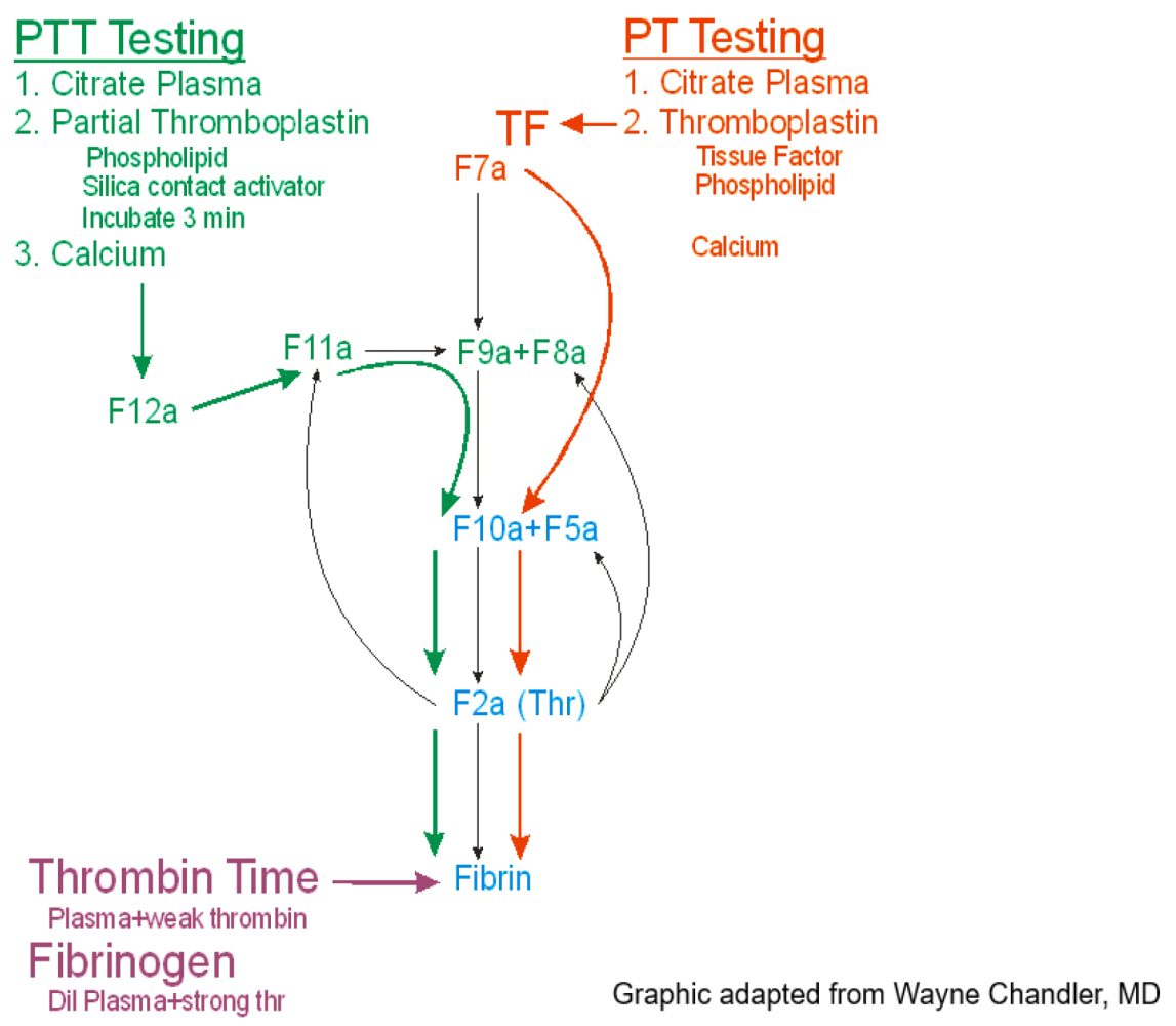 COAGULATION NOMENCLATURE